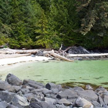 tidal charters nature salmon rivers inlet west coast british columbia