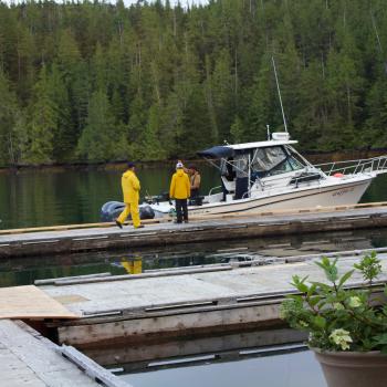 tidal charters dock salmon rivers inlet west coast british columbia